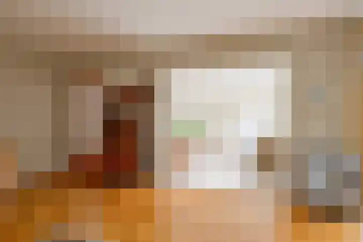 Wipmolen 11 Schagen thumbnail 12