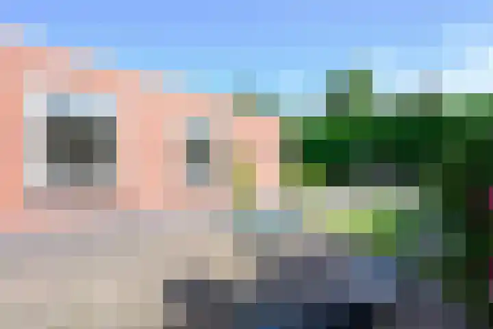 Wipmolen 11 Schagen thumbnail 14