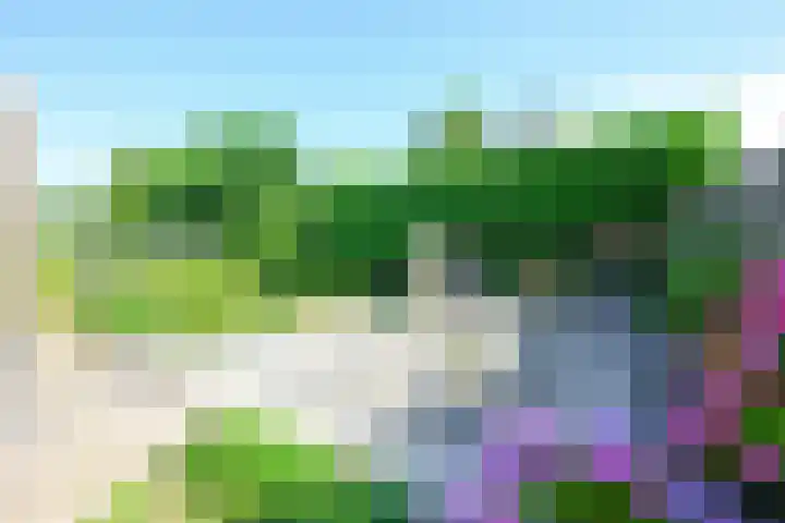Wipmolen 11 Schagen thumbnail 15
