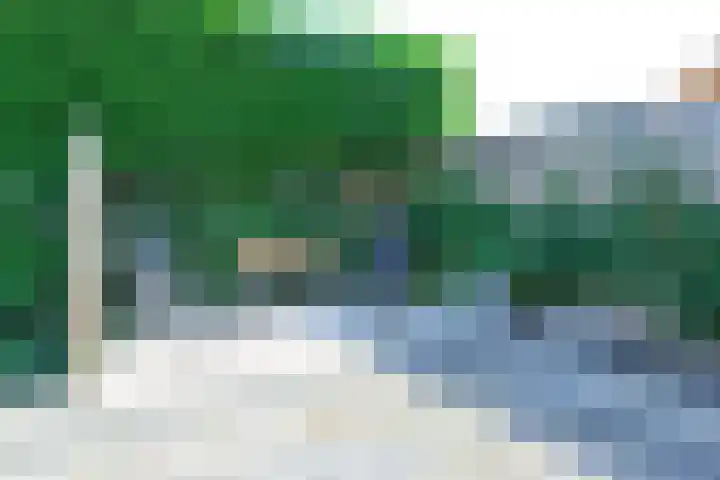 Wipmolen 11 Schagen thumbnail 16