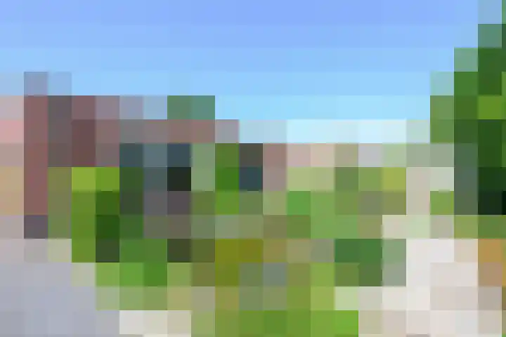 Wipmolen 11 Schagen thumbnail 17