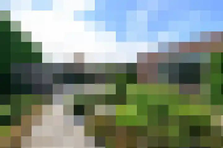 Wipmolen 11 Schagen thumbnail 18