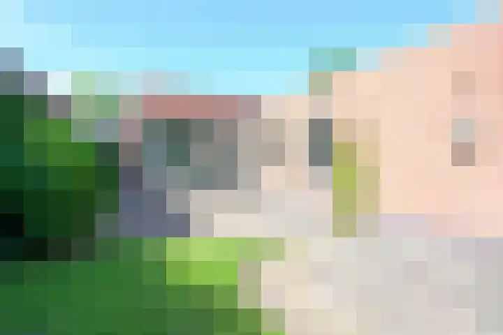 Wipmolen 11 Schagen thumbnail 20