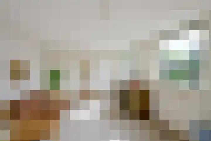 Wipmolen 11 Schagen thumbnail 21