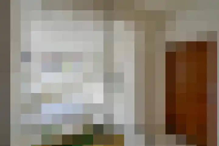 Wipmolen 11 Schagen thumbnail 23
