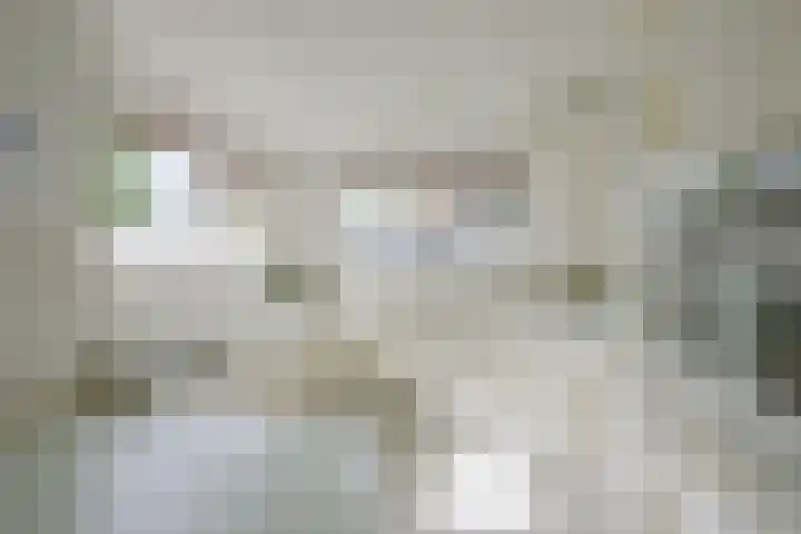 Wipmolen 11 Schagen thumbnail 24