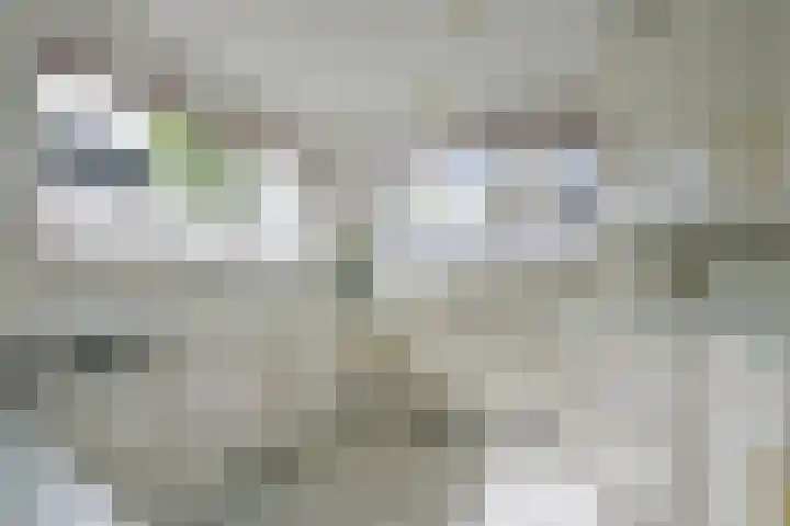 Wipmolen 11 Schagen thumbnail 25