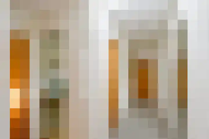 Wipmolen 11 Schagen thumbnail 28