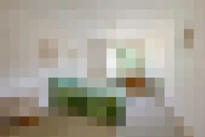 Wipmolen 11 Schagen thumbnail 29