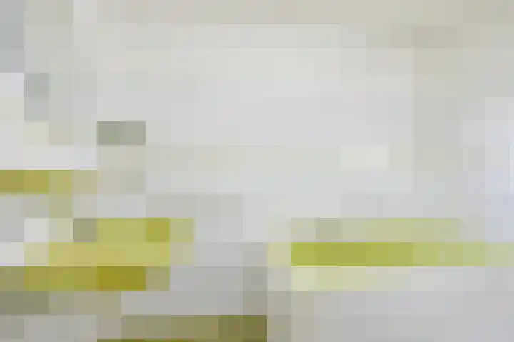 Wipmolen 11 Schagen thumbnail 32