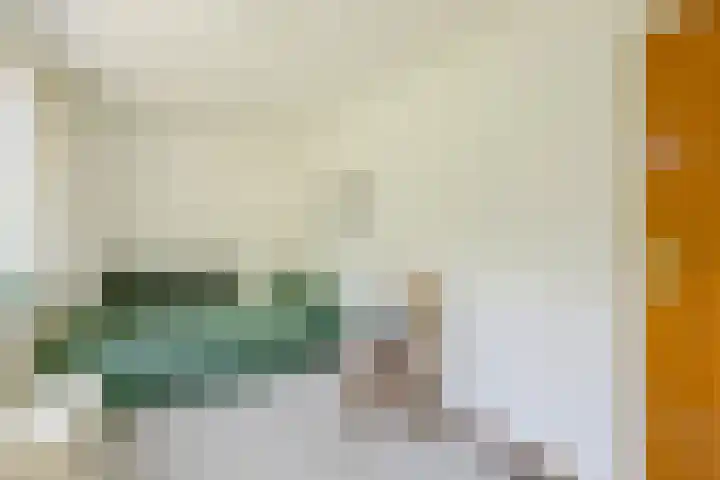 Wipmolen 11 Schagen thumbnail 35