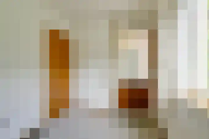 Wipmolen 11 Schagen thumbnail 36
