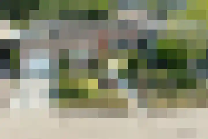 Wipmolen 11 Schagen thumbnail 38