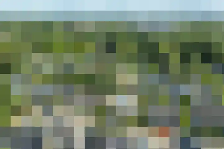 Wipmolen 11 Schagen thumbnail 39