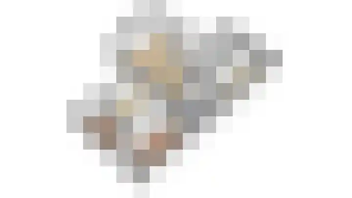 Wipmolen 11 Schagen thumbnail 41