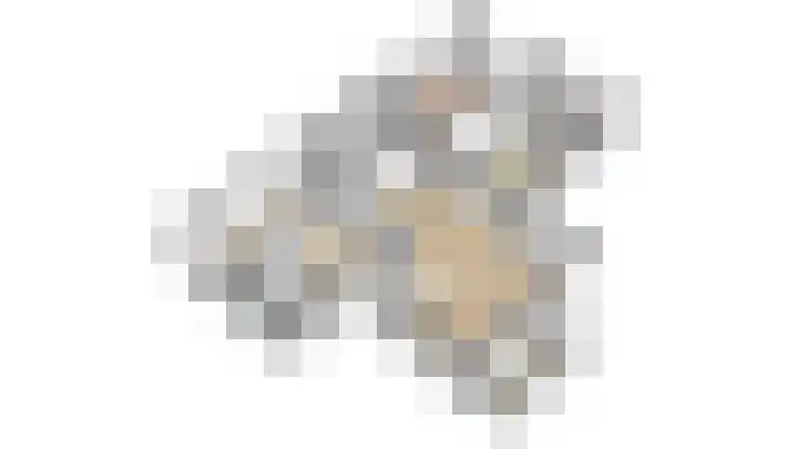 Wipmolen 11 Schagen thumbnail 42