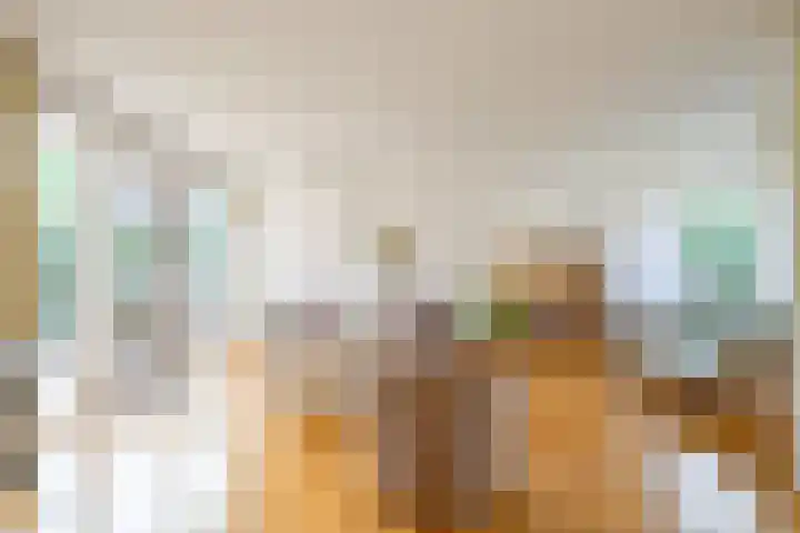 Wipmolen 11 Schagen thumbnail 8