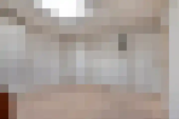 Wipmolen 13 Schagen thumbnail 10