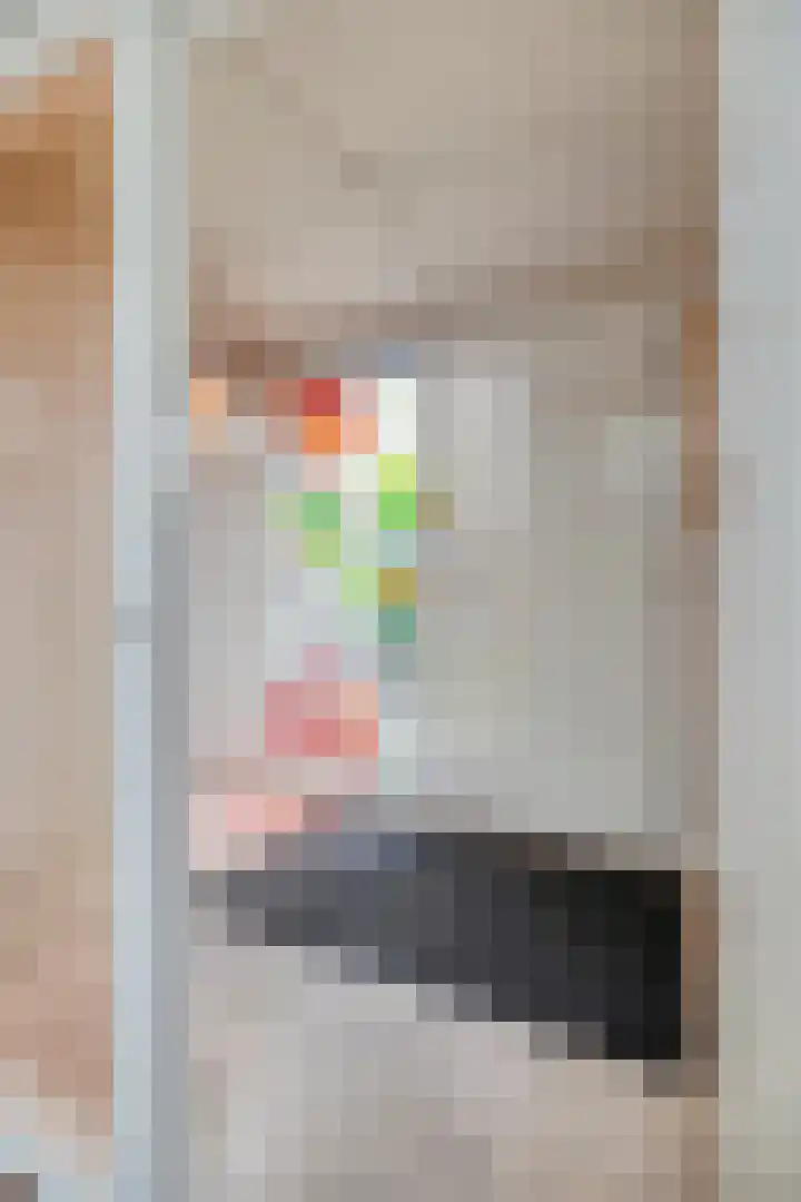 Wipmolen 13 Schagen thumbnail 12