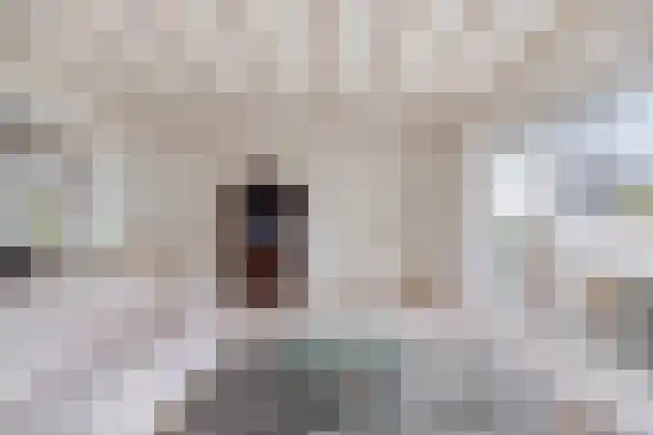 Wipmolen 13 Schagen thumbnail 15