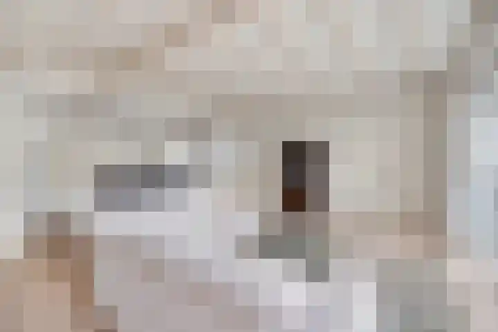 Wipmolen 13 Schagen thumbnail 16