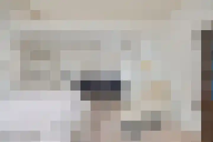 Wipmolen 13 Schagen thumbnail 18