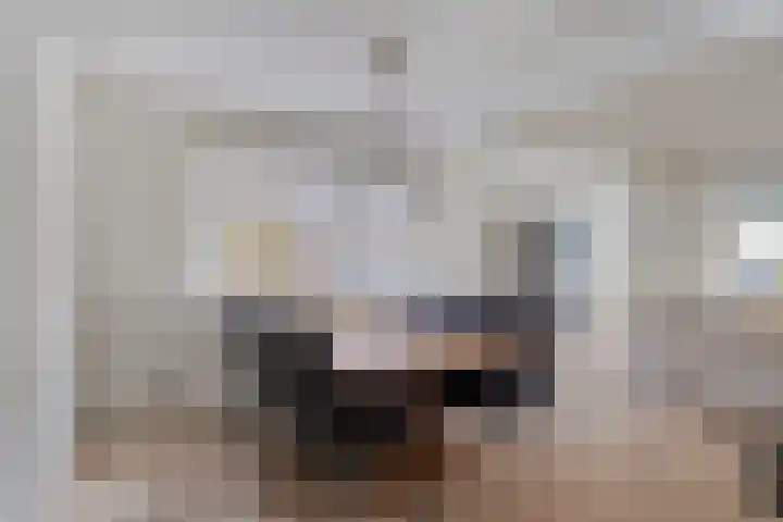 Wipmolen 13 Schagen thumbnail 19