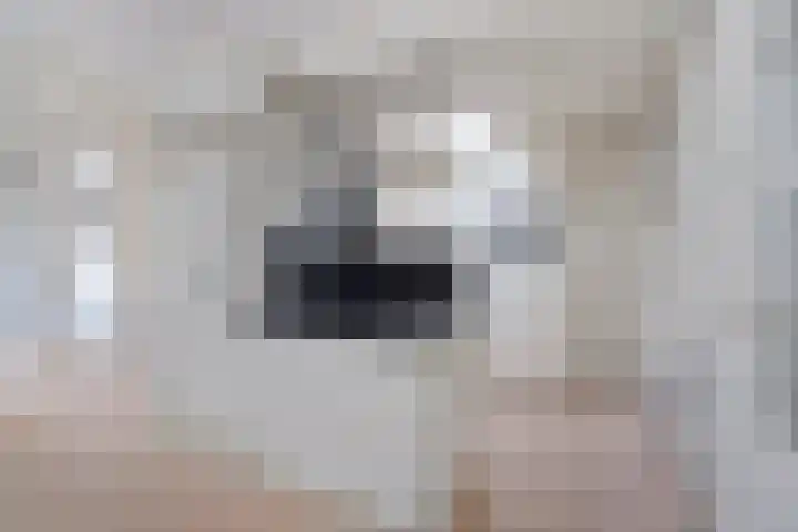Wipmolen 13 Schagen thumbnail 20
