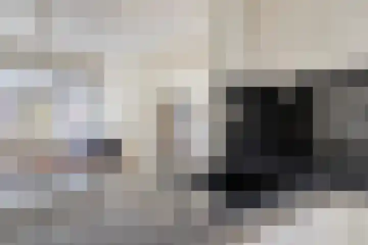 Wipmolen 13 Schagen thumbnail 21