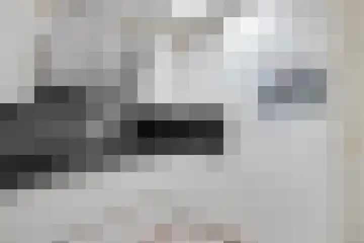 Wipmolen 13 Schagen thumbnail 22