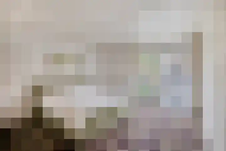 Wipmolen 13 Schagen thumbnail 23
