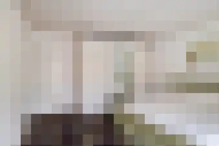 Wipmolen 13 Schagen thumbnail 24
