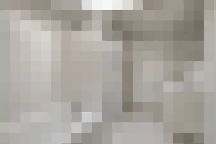 Wipmolen 13 Schagen thumbnail 27