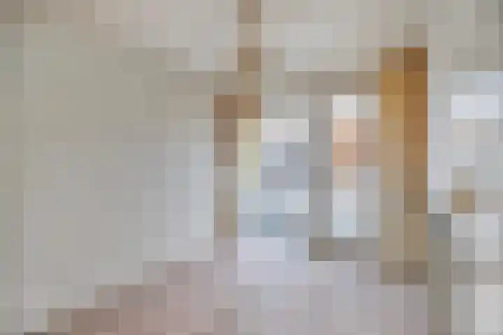 Wipmolen 13 Schagen thumbnail 29
