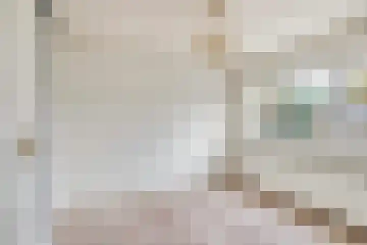 Wipmolen 13 Schagen thumbnail 31