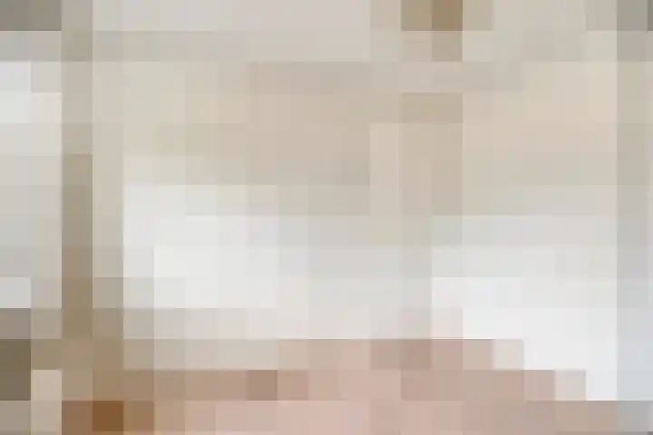 Wipmolen 13 Schagen thumbnail 32