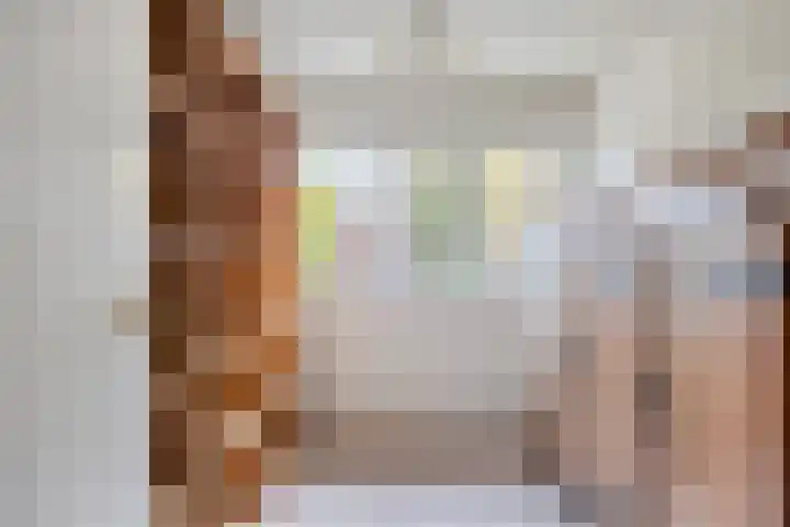Wipmolen 13 Schagen thumbnail 33