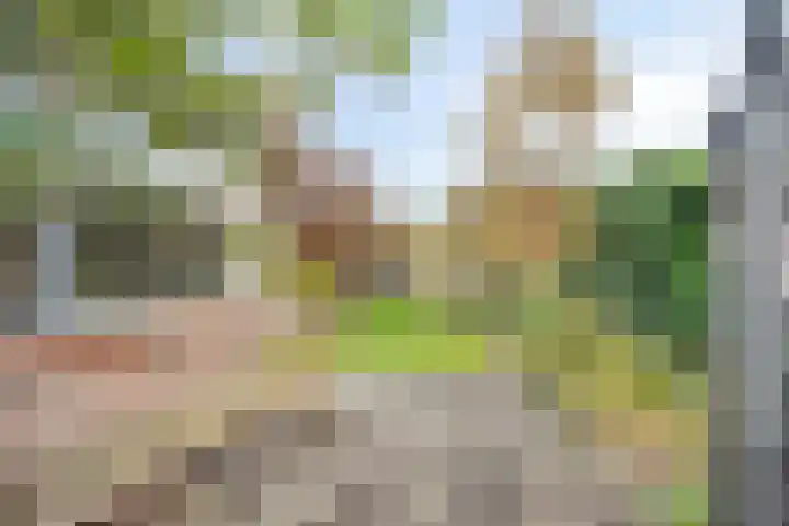 Wipmolen 13 Schagen thumbnail 34