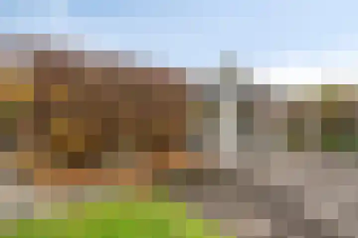 Wipmolen 13 Schagen thumbnail 35