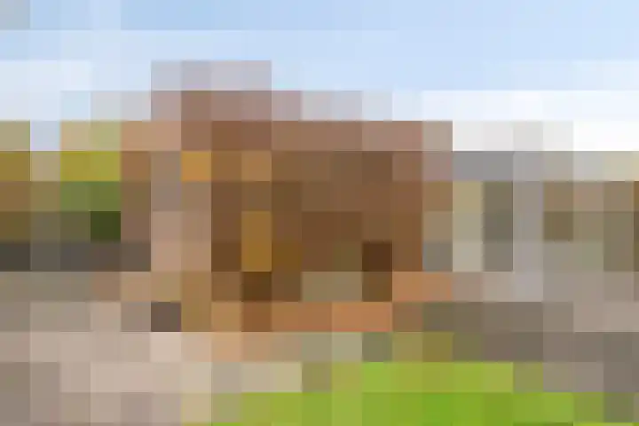 Wipmolen 13 Schagen thumbnail 36