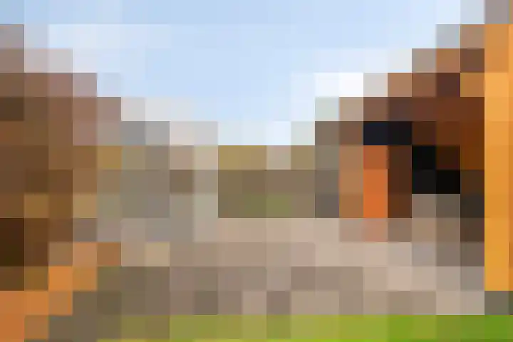 Wipmolen 13 Schagen thumbnail 37