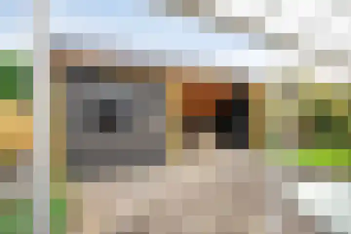 Wipmolen 13 Schagen thumbnail 38