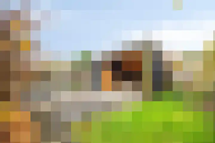 Wipmolen 13 Schagen thumbnail 4