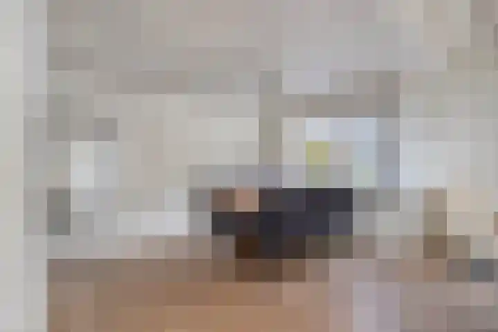 Wipmolen 13 Schagen thumbnail 47
