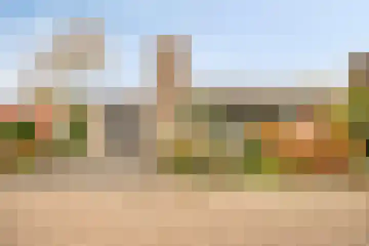 Wipmolen 13 Schagen thumbnail 5
