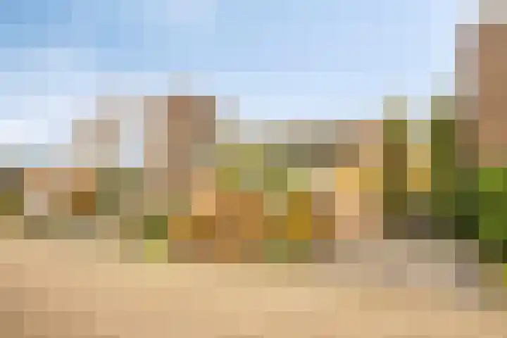 Wipmolen 13 Schagen thumbnail 6
