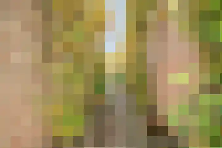 Wipmolen 13 Schagen thumbnail 7