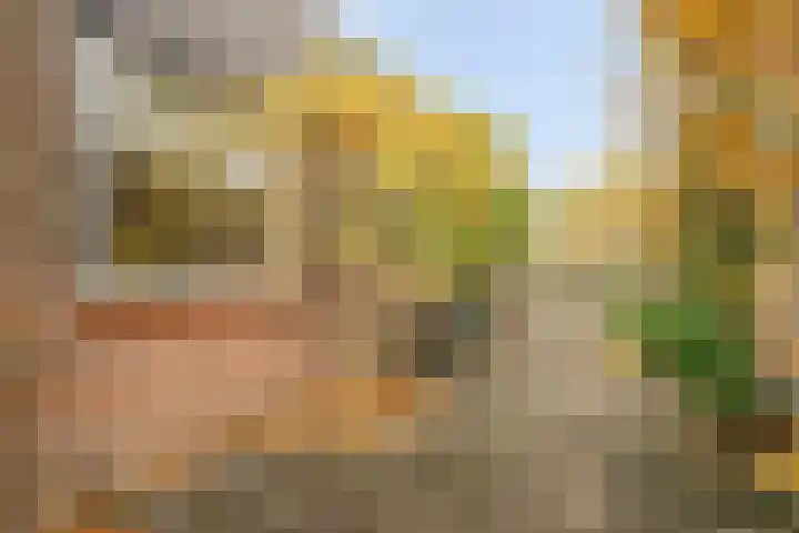 Wipmolen 13 Schagen thumbnail 8