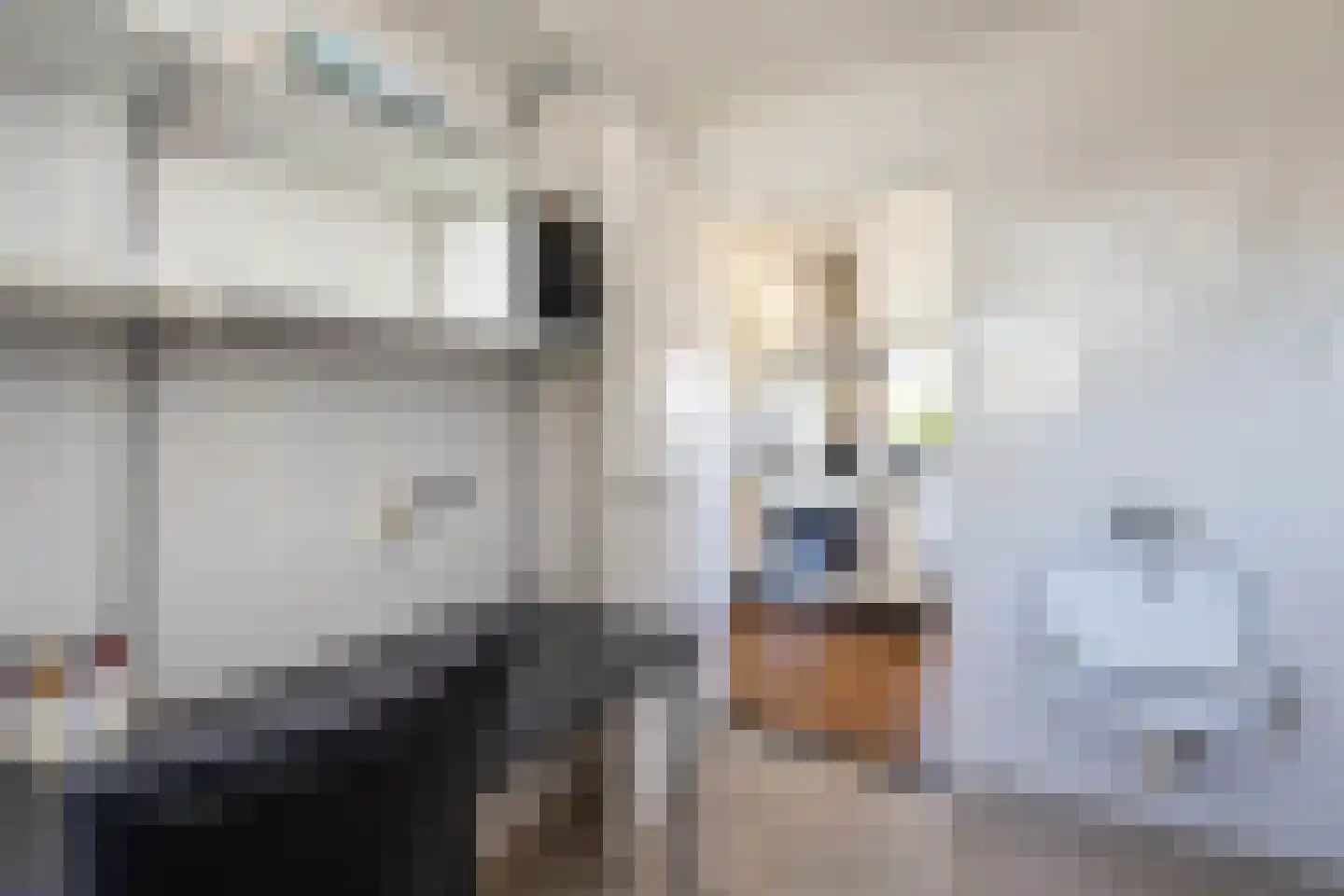 Wipmolen 16 de Lutte thumbnail 12