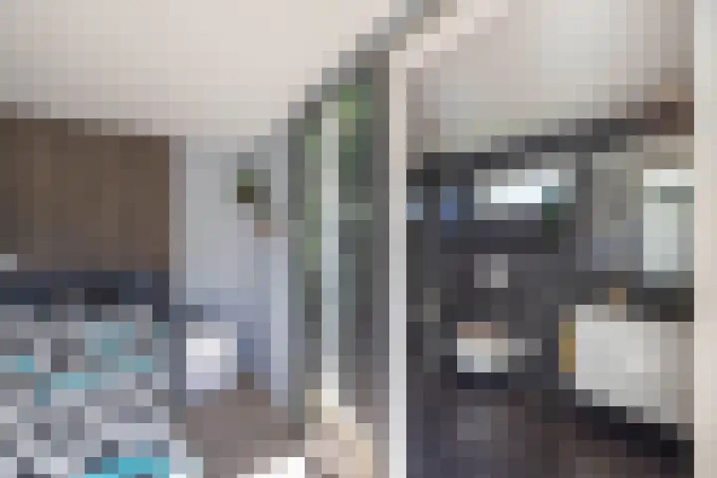 Wipmolen 16 de Lutte thumbnail 16